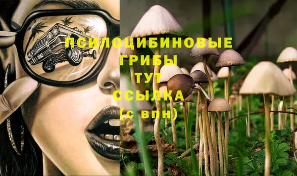ешки Белокуриха