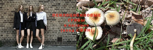 2c-b Белоозёрский