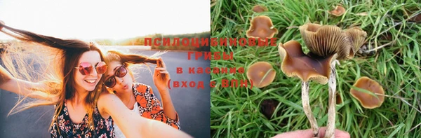 тгк Богородицк